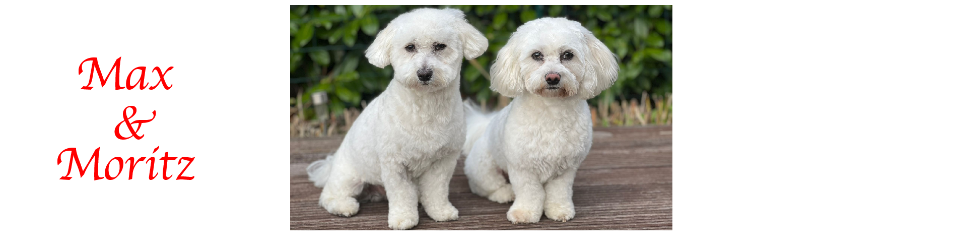 Max und Moritz 02
