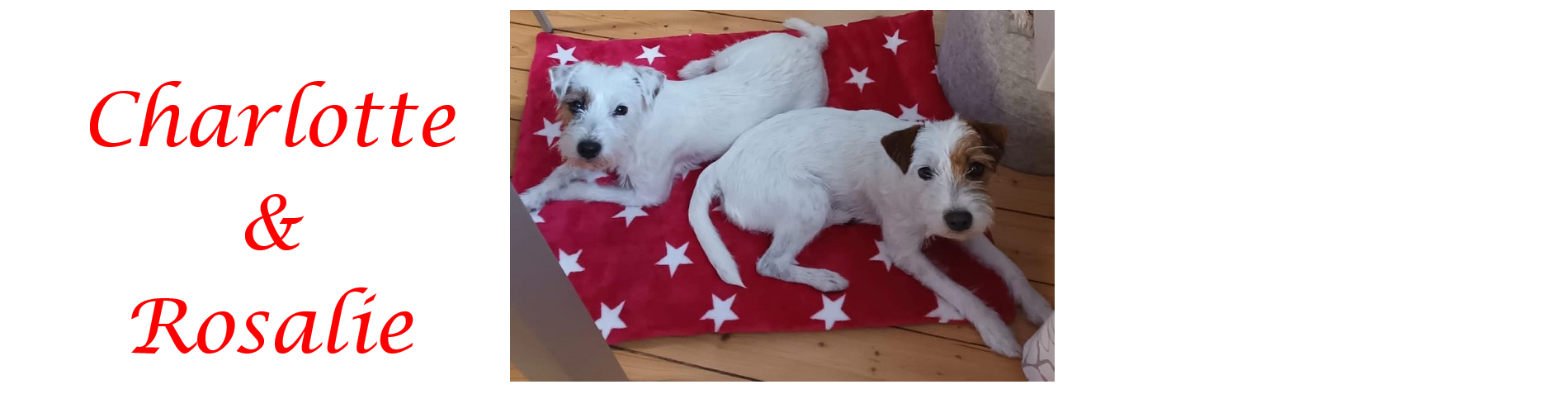 Charlotte & Rosalie 01