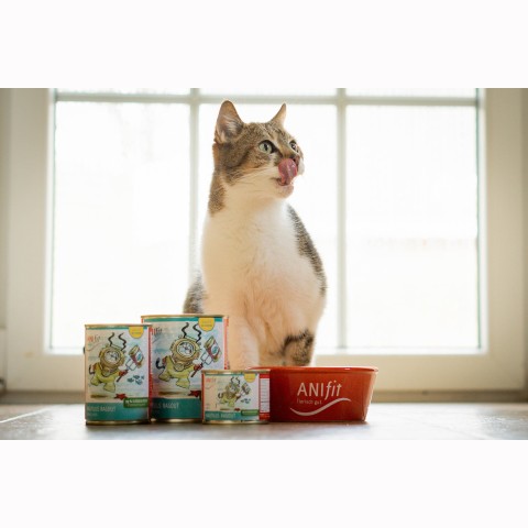 Cat Wet pet food Nautilus Ragout 400g 6 Piece -3- Anifit